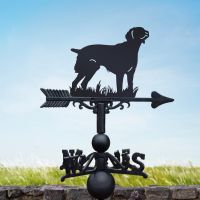 Brittany Dog Design on Black Weathervane 