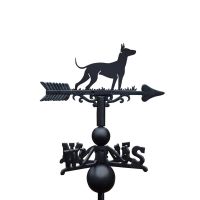 Cast Iron & Steel Xoloitzcuintli Dog Weathervane on White Background