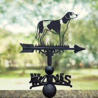 Trail Hound Weathervane in Situ in the Garden