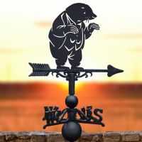 Cast Iron and Steel Weathervane with Mr Mole Motif