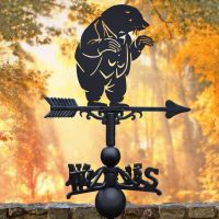 Mr Mole Weathervane in Location