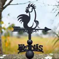 Cock"rel Steel and Cast Iron Weathervane