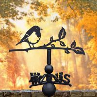 Robin Steel and Cast Iron Weathervane in Location