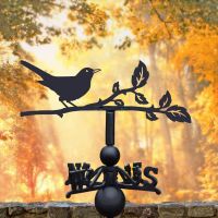 Blackbird Steel and Cast Iron Weathervane at Sunset