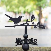 Blackbird Steel and Cast Iron Weathervane in Location