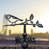 Blue Tit Weathervane at Sunrise