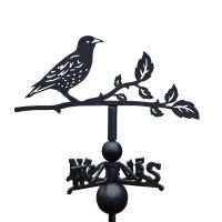 Starling Weathervane on White Background