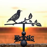 Starling Weathervane at Sunset