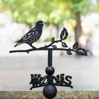 Starling Weathervane in Location
