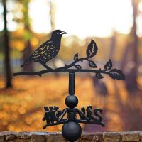 Starling Weathervane at Sunrise