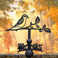 Autumnal Great Grey Shrike Weathervane