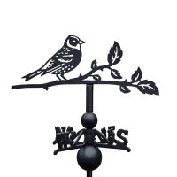 Brambling Weathervane on White Background