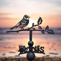 Brambling Weathervane in Location