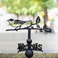 Black Cap Weathervane Mounted in Location