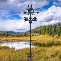 Duck Free Standing Weathervane