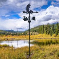Free Standing Weathervane with Fish Motif