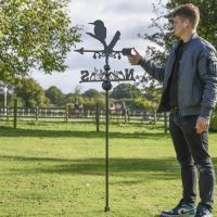 Kingfisher Free Standing Weathervane to Scale