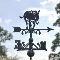 Donkey Topper on the Weathervane