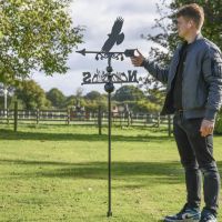 Cornish Chough Free Standing Weathervane to Scale