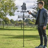 Mr Toad Free Standing Weathervane to Scale