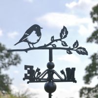 Close-Up of Robin Topper