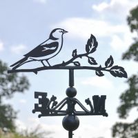Close-Up of Chaffinch Topper