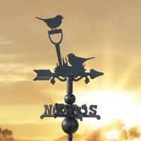 Pair of Robins on Miniature Weathervane at Sunset