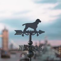 Cocker Spaniel on Miniature Weathervane in Situ