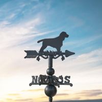 Cocker Spaniel on Miniature Weathervane at Dusk