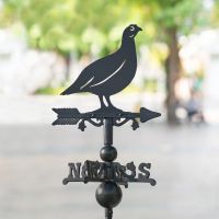 Red Grouse Miniature Weathervane in Situ