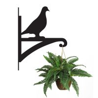 Pigeon Hanging Basket Bracket Holding a Plant
