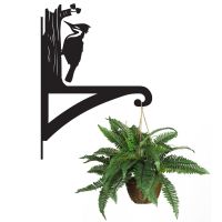 Woodpecker Hanging Basket Bracket Holding a Plant