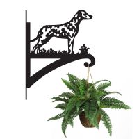 Dalmatian Dog Hanging Basket Bracket Holding a Plant