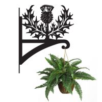Thistle Hanging Basket Bracket Holding a Plant