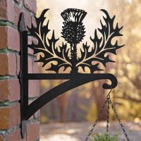 Thistle Hanging Basket Bracket in Situ 