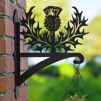 Thistle Hanging Basket Bracket in Garden