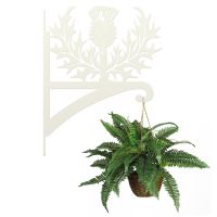 Thistle Hanging Basket Bracket Holding a Plant Basket