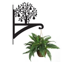 Pear Tree Hanging Basket Bracket Holding a Plant