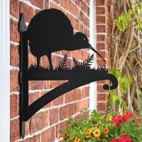 Kiwi Bird Hanging Basket Bracket in Situ