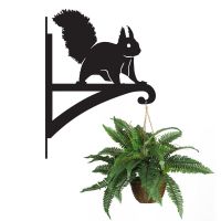 Red Squirrel Hanging Basket Bracket Holding a Plant