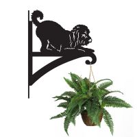 Playful Cockapoo Hanging Basket Bracket in Situ 