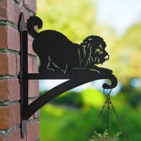 Playful Cockapoo Bracket 