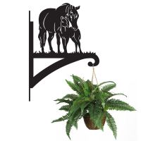 Mare & Foal Basket Bracket 