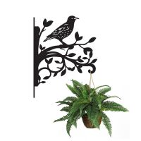 Starling Hanging Basket Bracket on white background with hanging plant