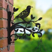 Starling Hanging Basket Bracket Outside 