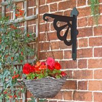 Clam Heavy Duty Hanging Basket mounted to wall