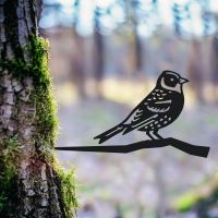 Brambling Tree Spike in Woodland 
