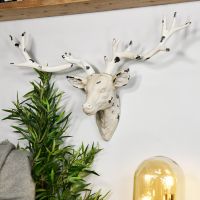 Shabby Chic Stag Head in Situ