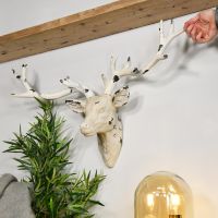 Shabby Chic Cream Wall Mounted Stag Head