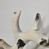 Close up of distressed stag head 